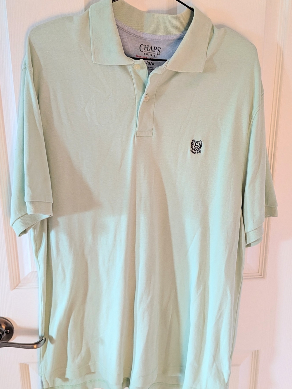 Chaps Men's Polo in Mint Green with Embroidered Crest